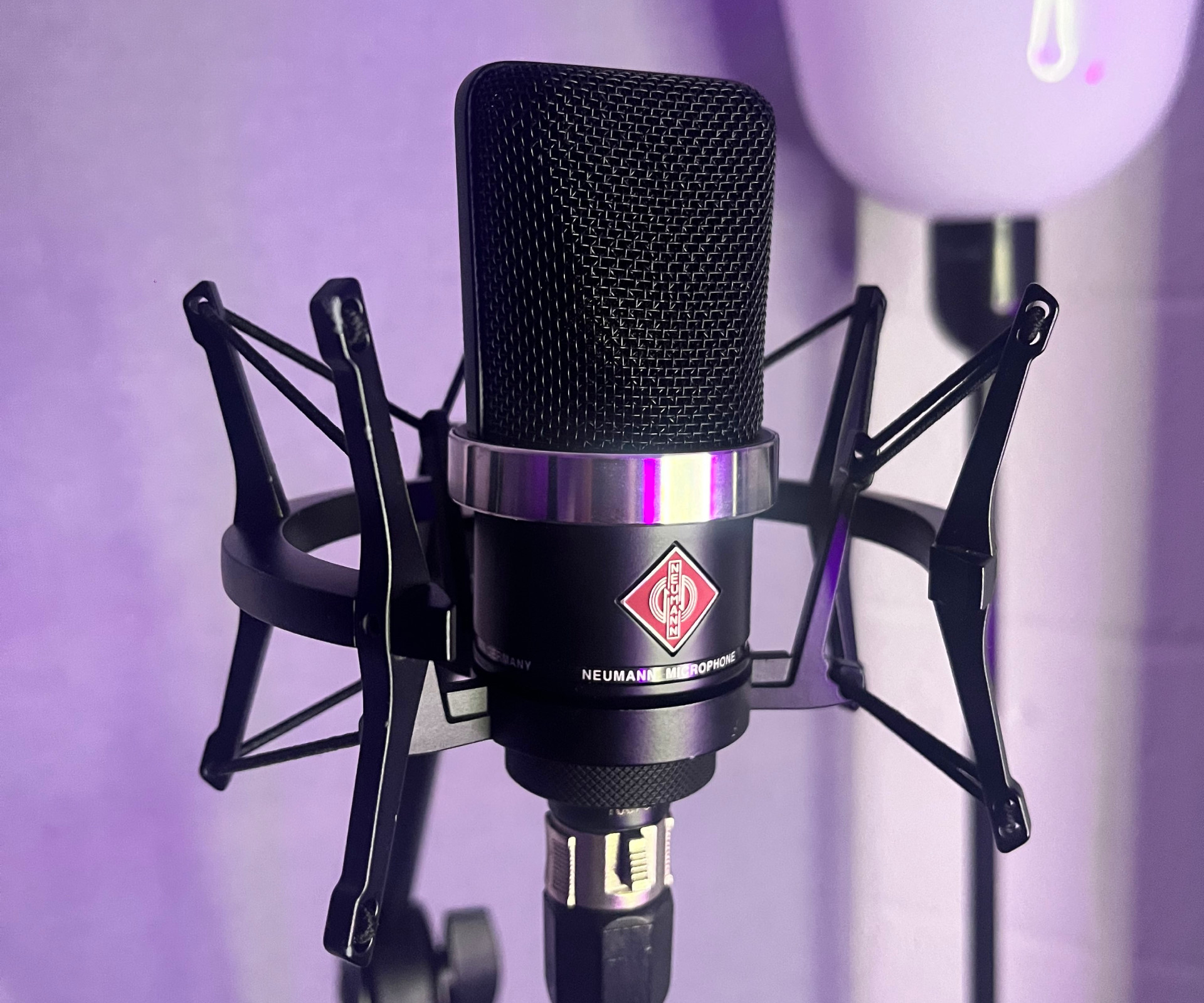 Neumann TLM102 microphone